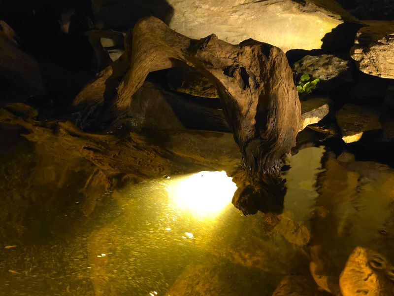 Ponds & Water Features