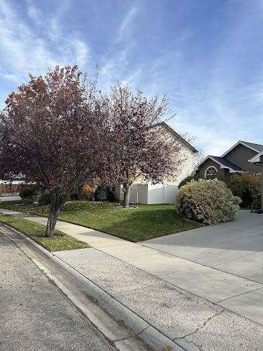 Lawn Mowing and Maintenance