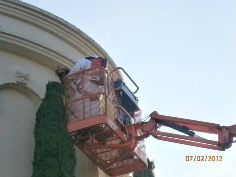 Commercial Pest Control