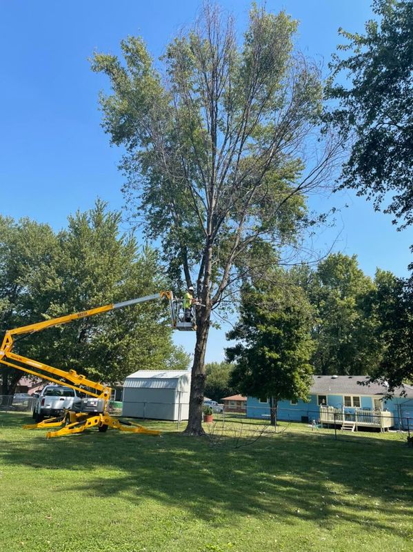Mowing and Tree Services
