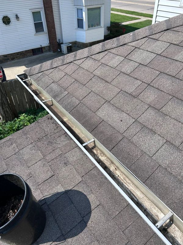 Gutter Cleaning