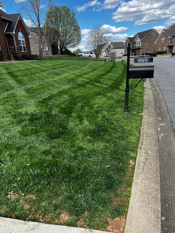 Lawn Aeration and Overseeding 