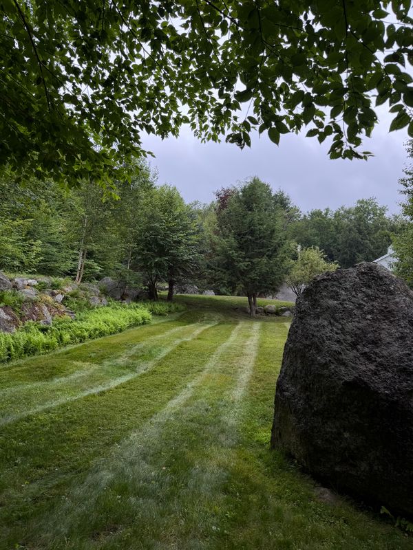 Lawn Maintenance