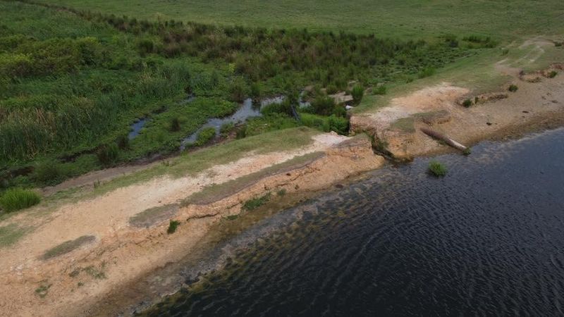 Land Clearing And Clean Up