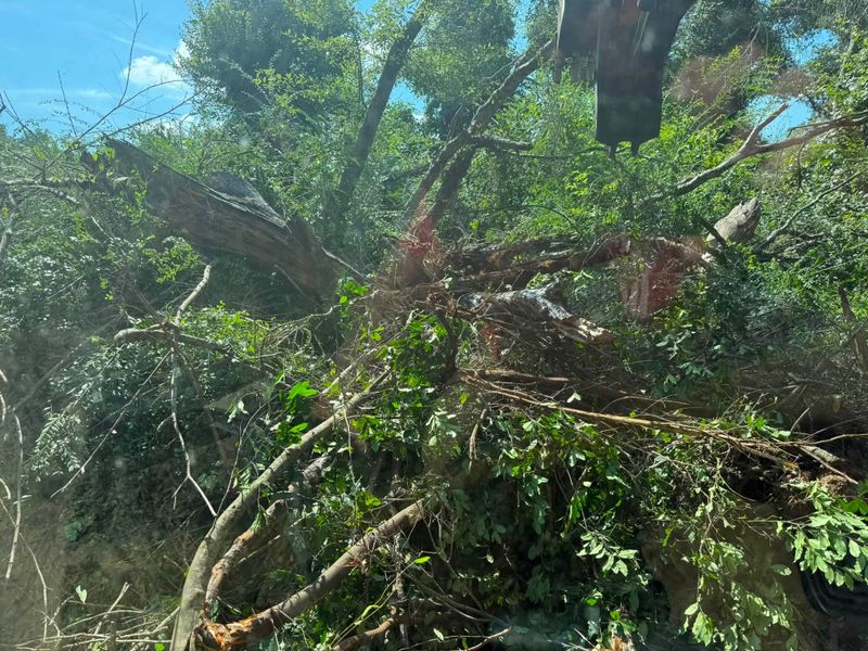 Land Clearing