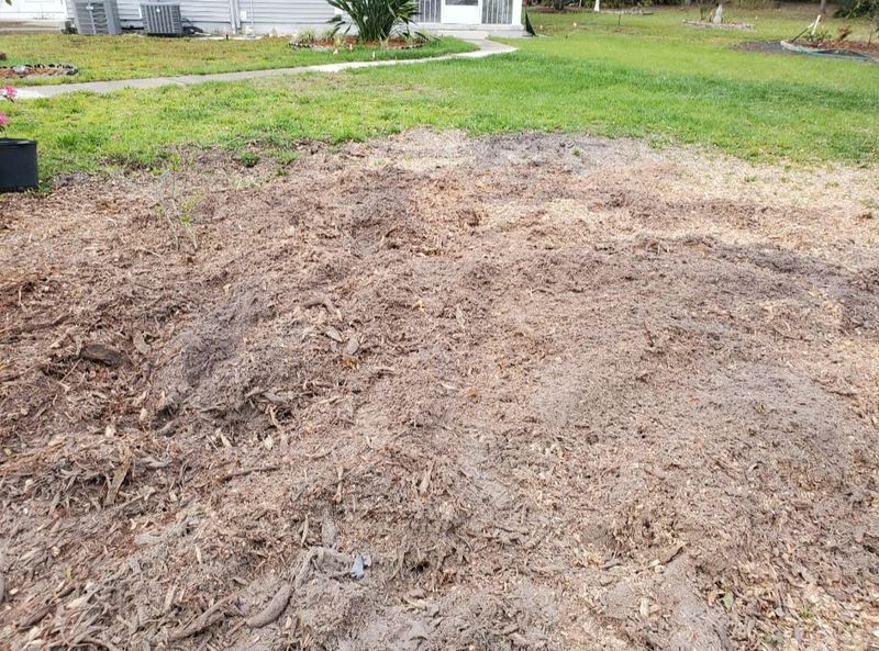 Stump Removal