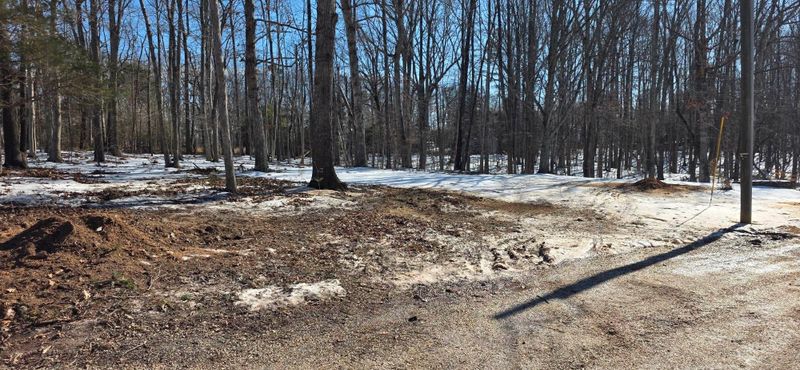 Stump Removal