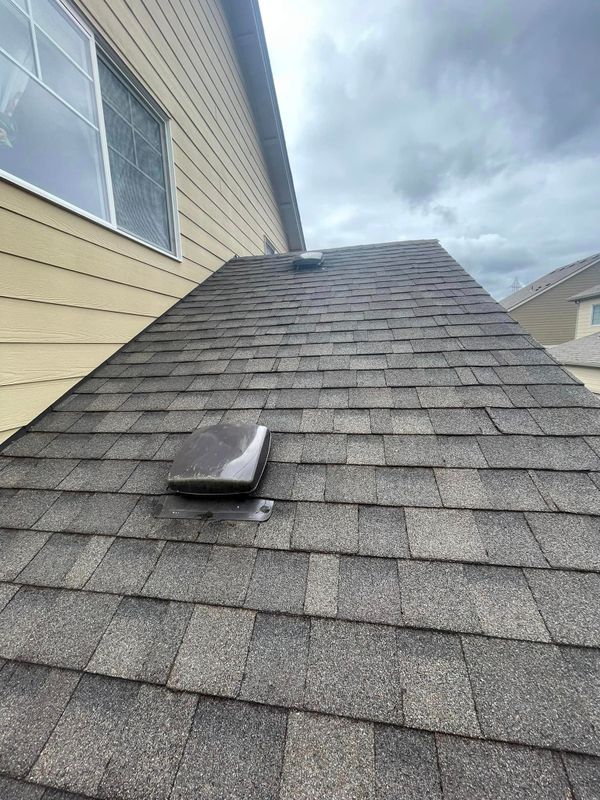 Pressure Washing