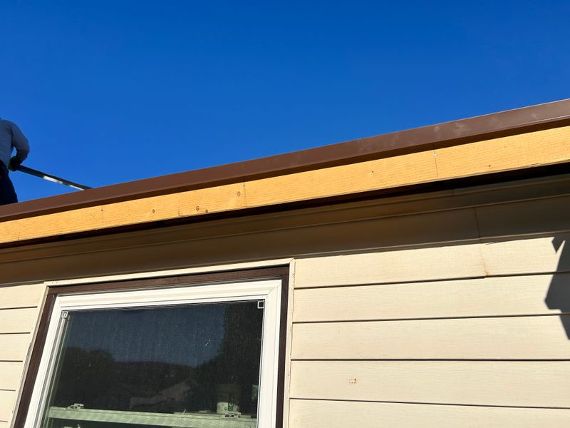 Shingle