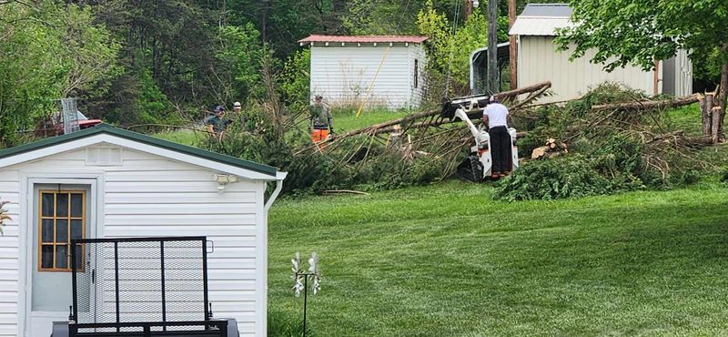 Tree Services