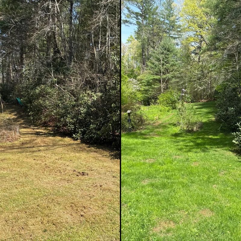 Turf repair, overseeding and top dressing gallery