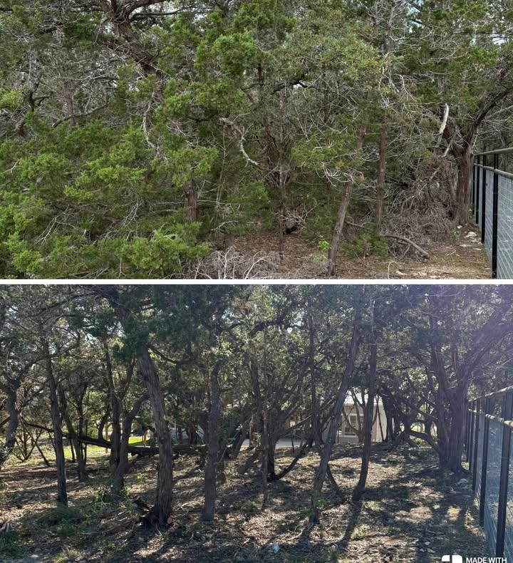 Tree Trimming & Land Clearing