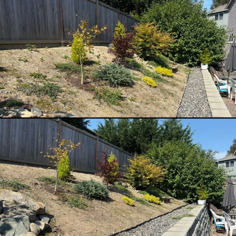 Weed Control