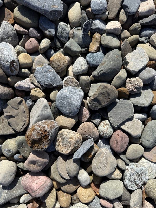 rocks