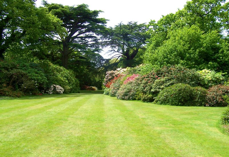 Lawn Care gallery