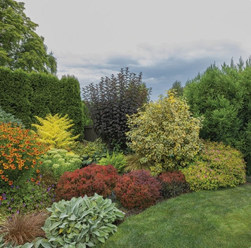 Lawn Care and Maintenance