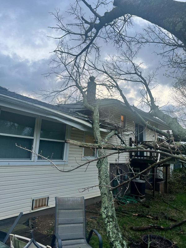 Storm Damage & Insurance Claims