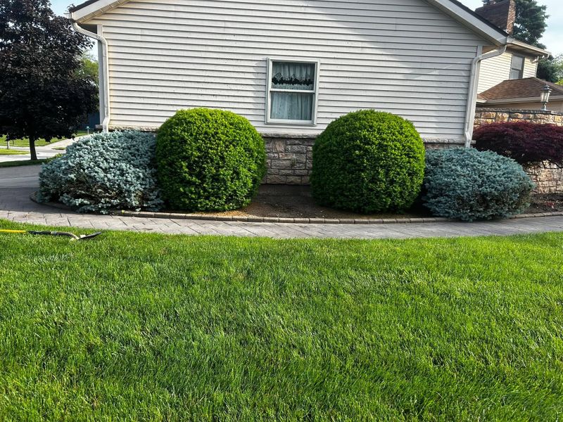 Seasonal Cleanups