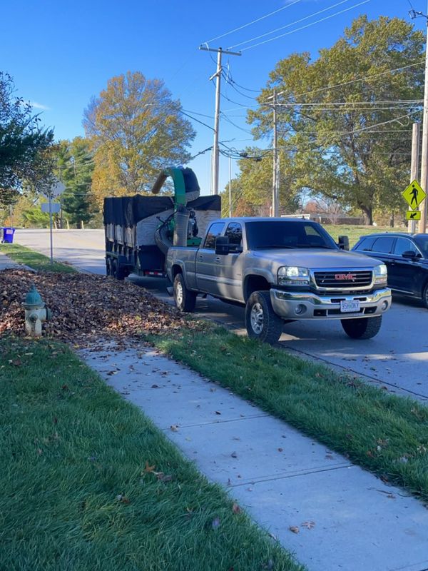 Leaf Removal