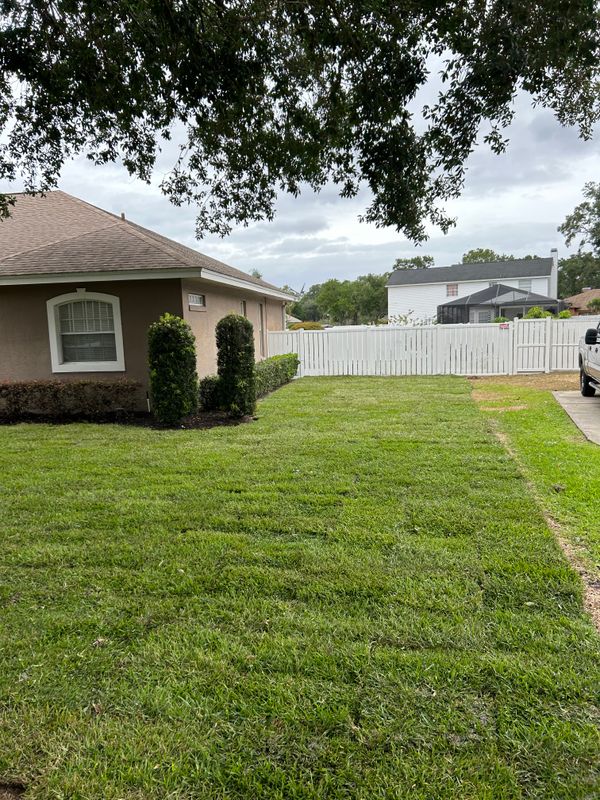 Lawn Care