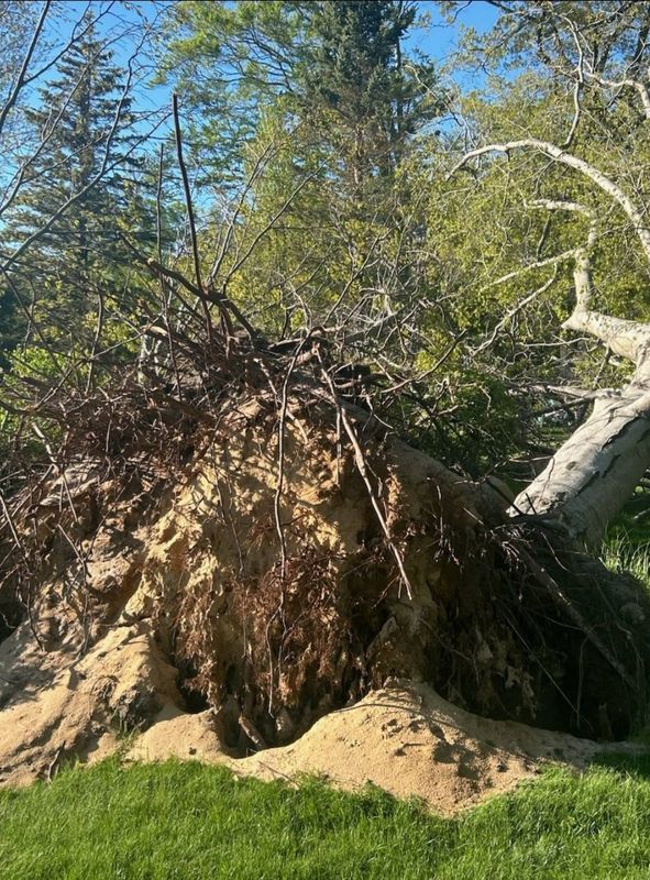 Storm Damage Mitigation