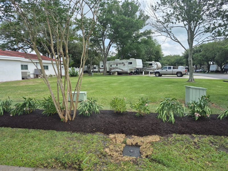 Lawn Maintenance