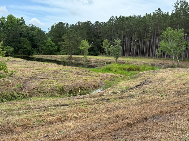 Land Clearing