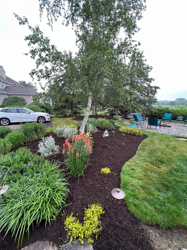 Landscaping