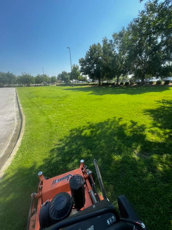 Landscape Maintenance