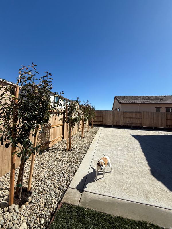 Landscaping