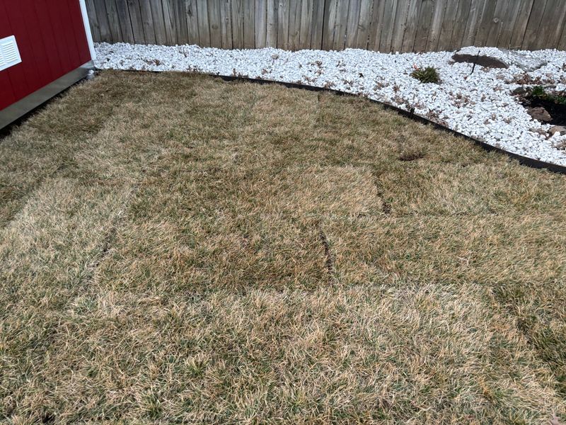 Lawn Maintenance