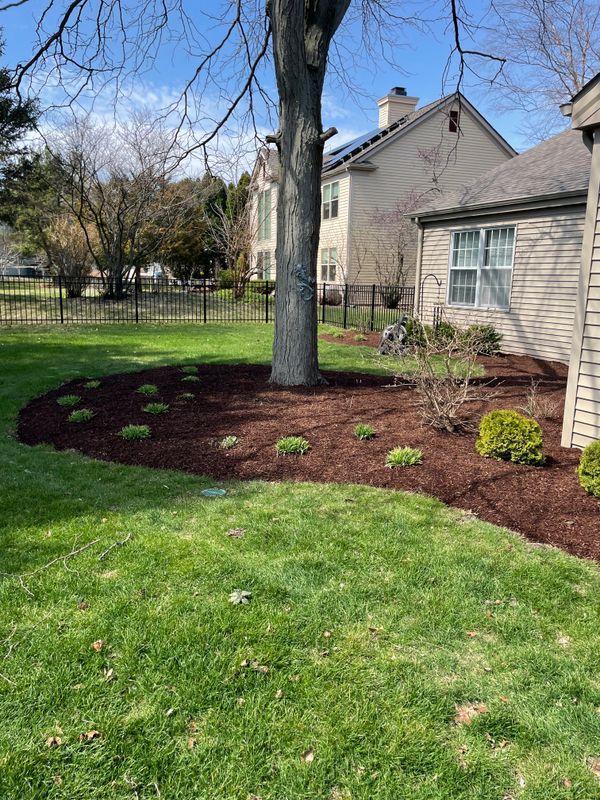 Planting