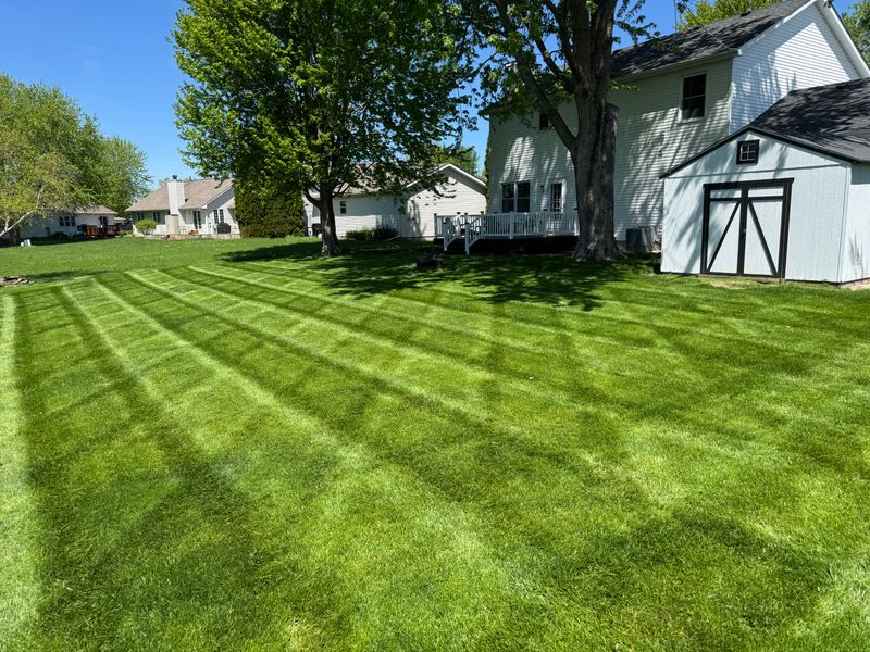 Sycamore Serenity: Transforming Outdoor Spaces with Pristine Lawn Designs