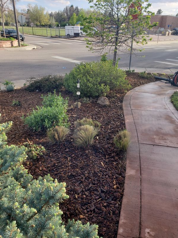 Mulch Installation