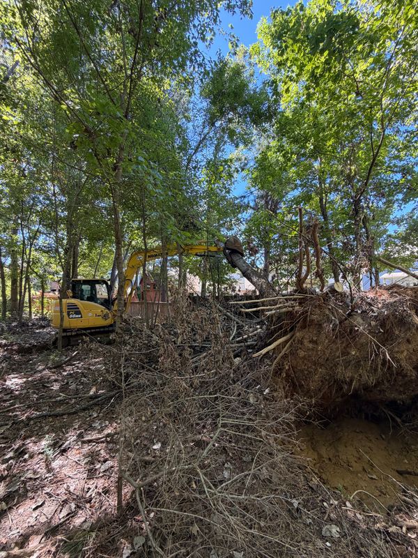 Land Clearing Photos