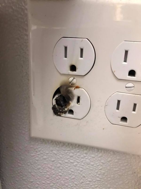 Electrical Contractor