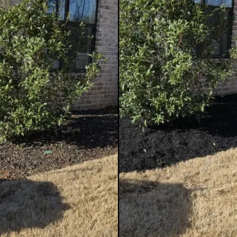 Shrub Trimming