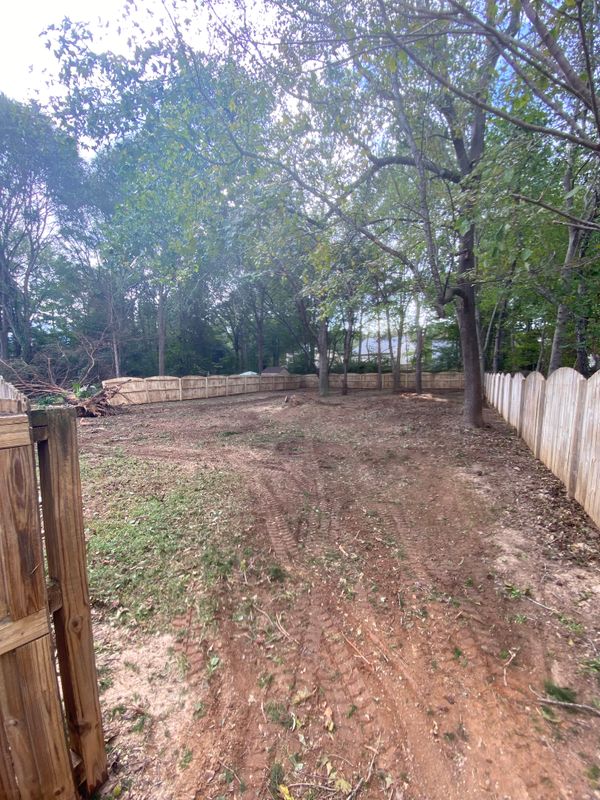 Tree Removal gallery
