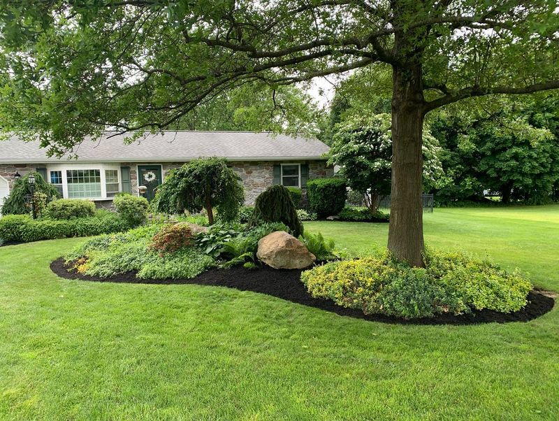 Landscaping