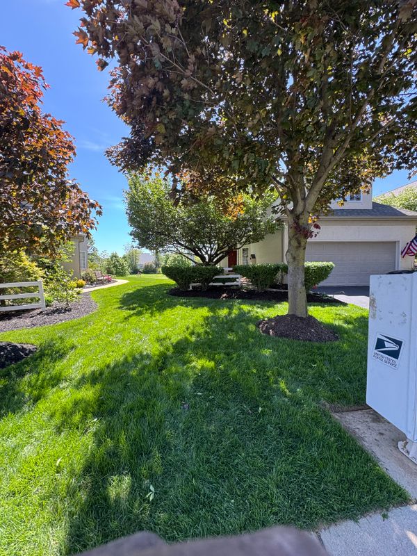 Landscape Designs