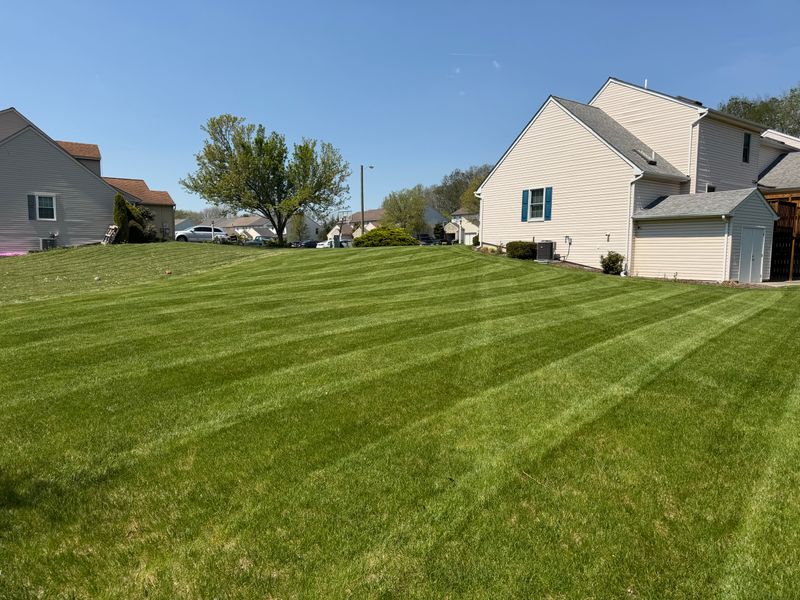 Mowing