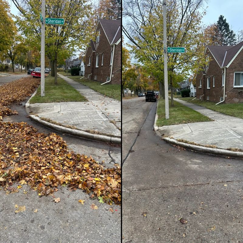 Fall Cleanup