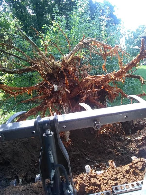 Land Clearing & Demolition