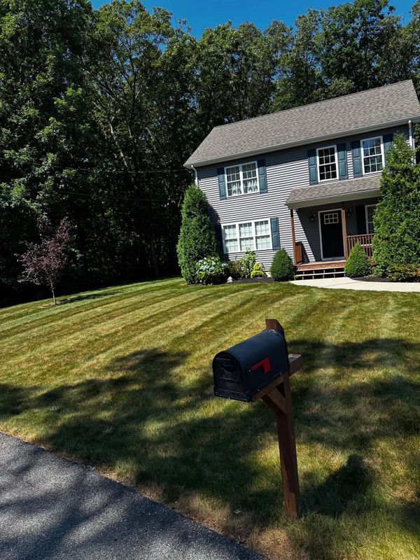 Tree & Shrub Care