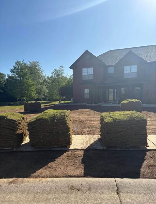 Sod Installation