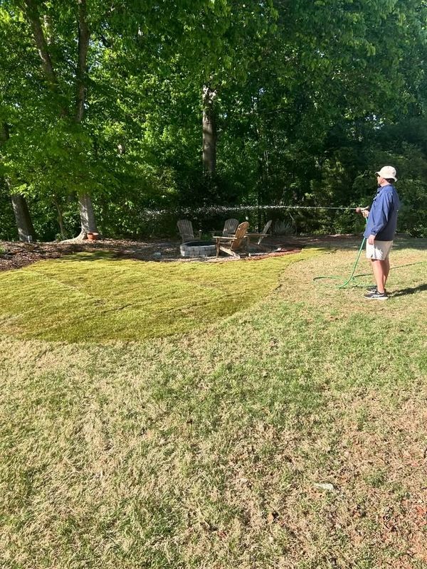 Lawn Maintenance