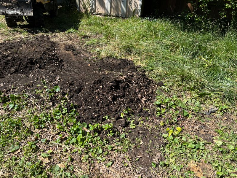 Stump Removal