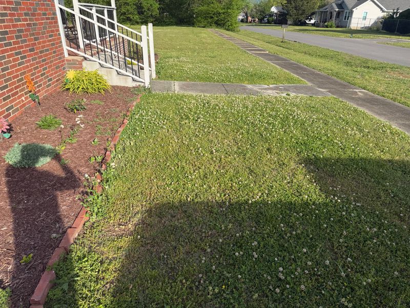 Landscaping