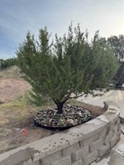 Hardscape Installation