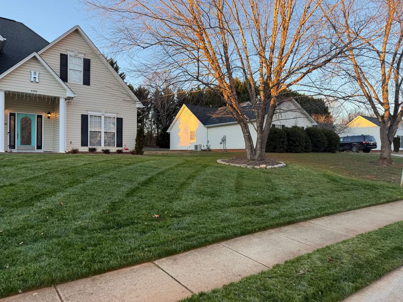Revitalize Your Yard: Timely Lawn Care Transformation in Gastonia